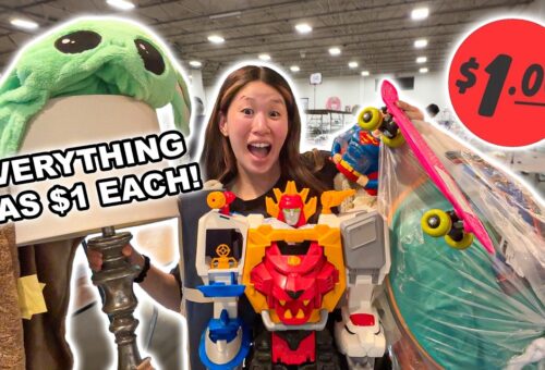 Everything was $1! (I got 46 items for $48!)