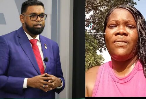 Ex Female Police Officer Exposes The Government & More
