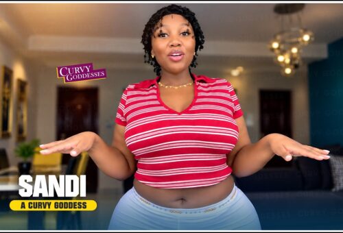 SANDI – Body Positivity Try-on Haul Compilation Lookbook